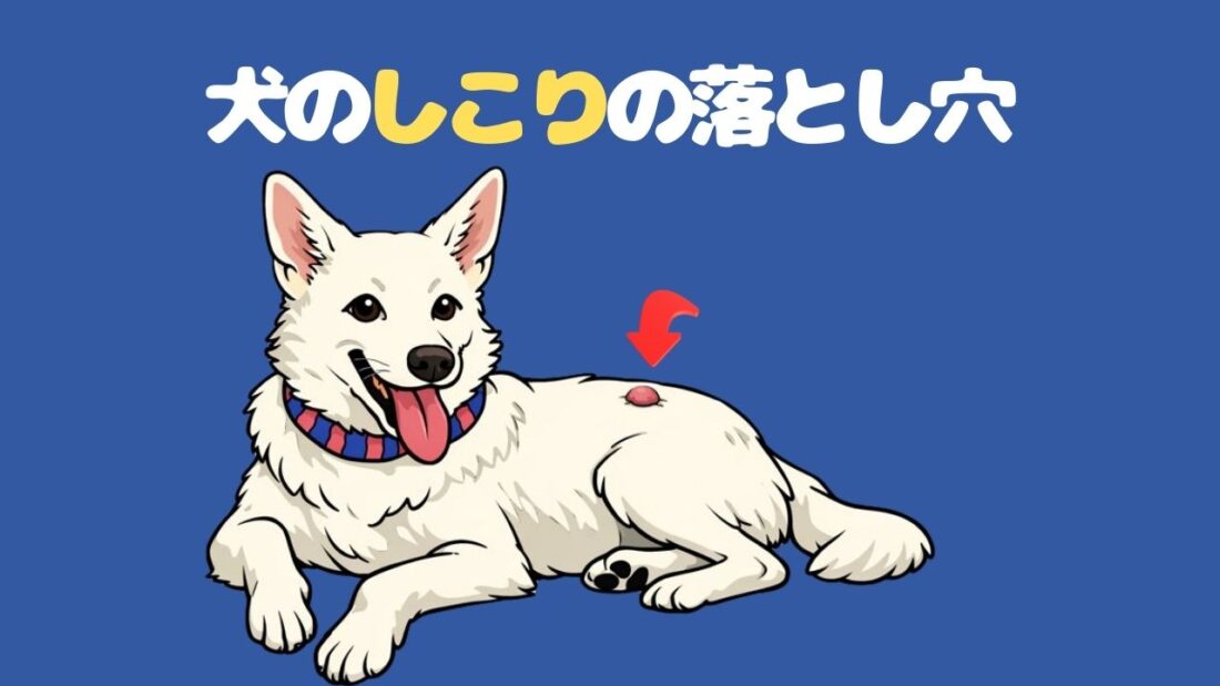 犬のしこりの落とし穴｜佐倉市の動物病院なら若山動物病院