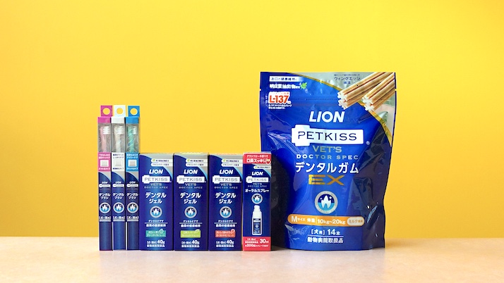 LIONデンタルケア