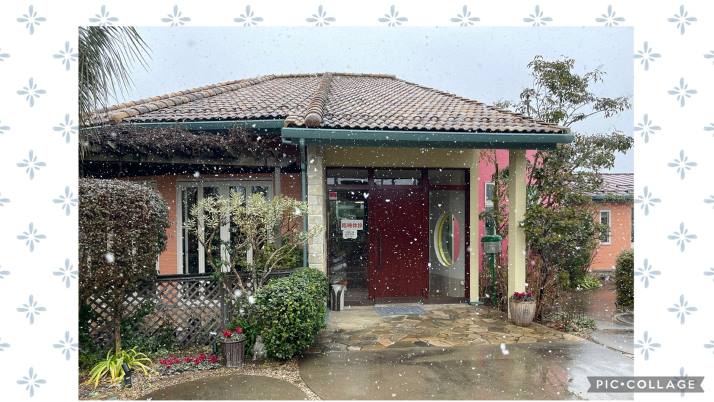 早くも雪が…｜佐倉市の動物病院なら若山動物病院