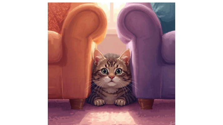 隙間｜佐倉市の動物病院なら若山動物病院