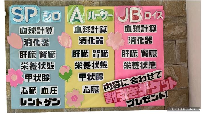 実施中ですよ！｜佐倉市の動物病院なら若山動物病院