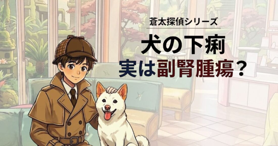 犬の治らない下痢、腸の病気じゃなかった？原因は副腎腫瘍だった話【蒼太探偵シリーズ】｜佐倉市の動物病院なら若山動物病院