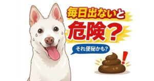 犬の便秘とは？症状・原因・受診の目安と治し方を獣医師が解説【何日出ない？食欲低下・嘔吐も注意】