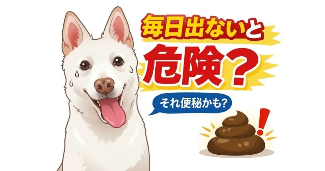 犬の便秘とは？症状・原因・受診の目安と治し方を獣医師が解説【何日出ない？食欲低下・嘔吐も注意】