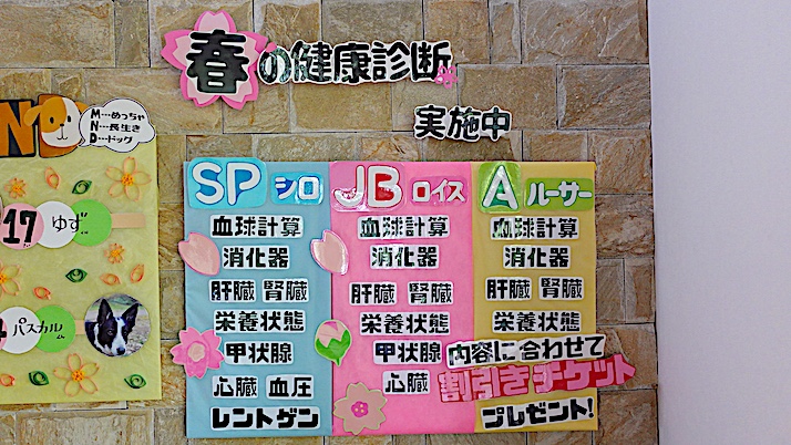 「健康診断」のすすめ｜佐倉市の動物病院なら若山動物病院