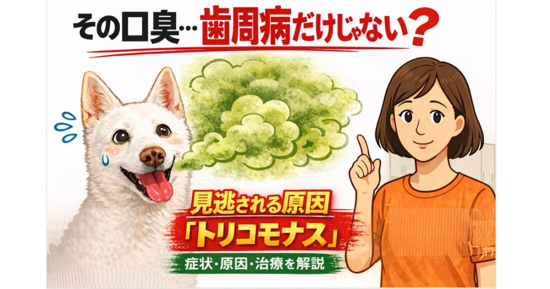 犬の口臭や歯周病の原因となる口腔トリコモナス症のイメージ画像