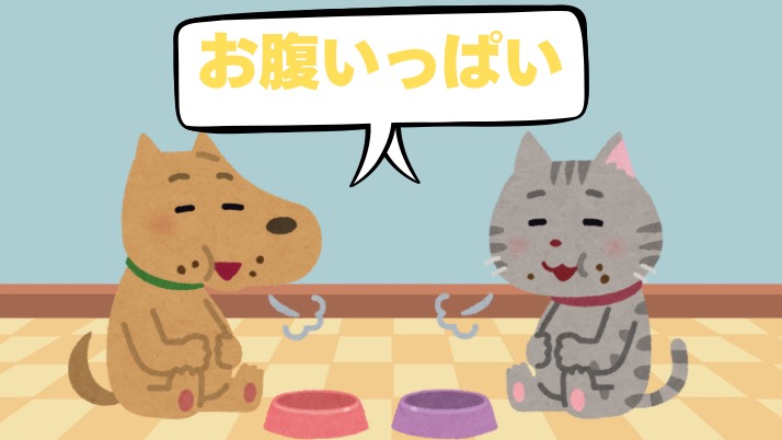 お腹いっぱい｜佐倉市の動物病院なら若山動物病院