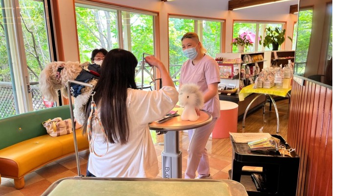 ぷらむ倶楽部｜佐倉市の動物病院なら若山動物病院