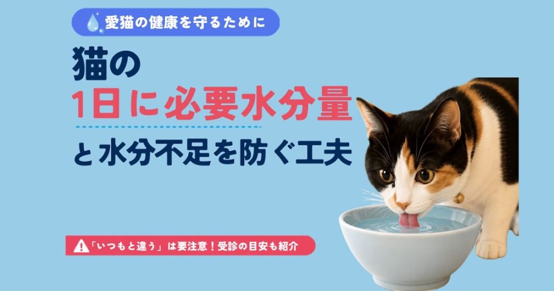 三毛猫が水皿で水を飲む様子と、猫の1日に必要な水分量や水分不足を防ぐ工夫を解説するアイキャッチ画像