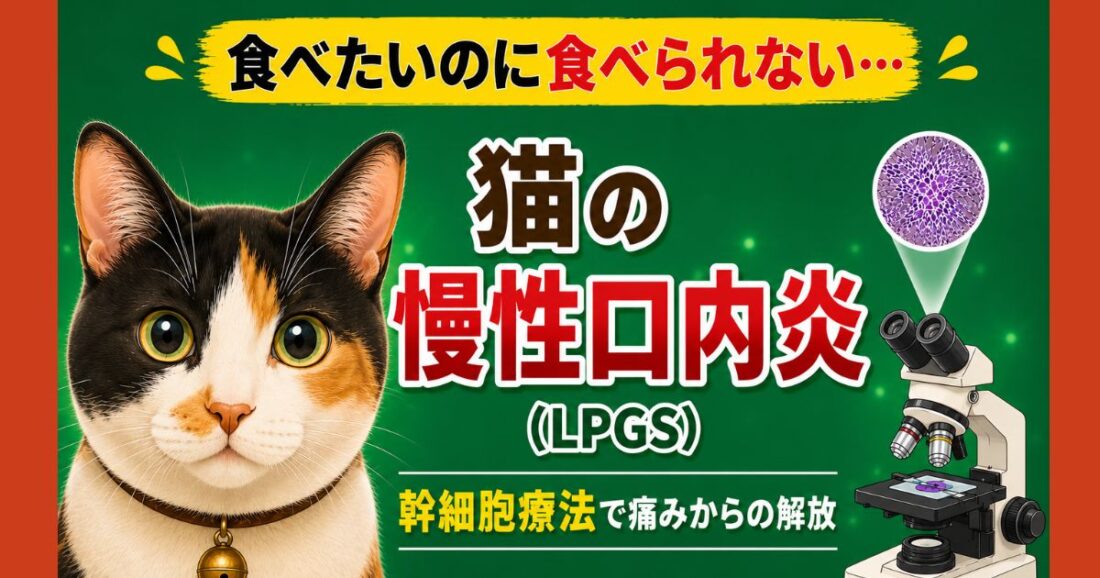 猫の慢性口内炎（LPGS）で食べたいのに食べられない猫と幹細胞治療（再生医療）のイメージ