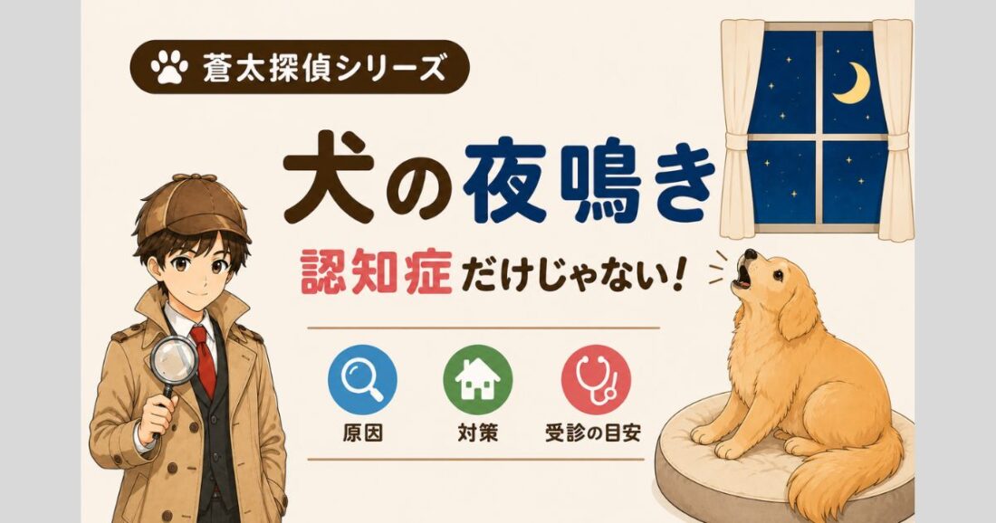 【蒼太探偵シリーズ】犬の夜鳴き｜認知症だけじゃない！原因・対策・受診の目安｜佐倉市の動物病院なら若山動物病院