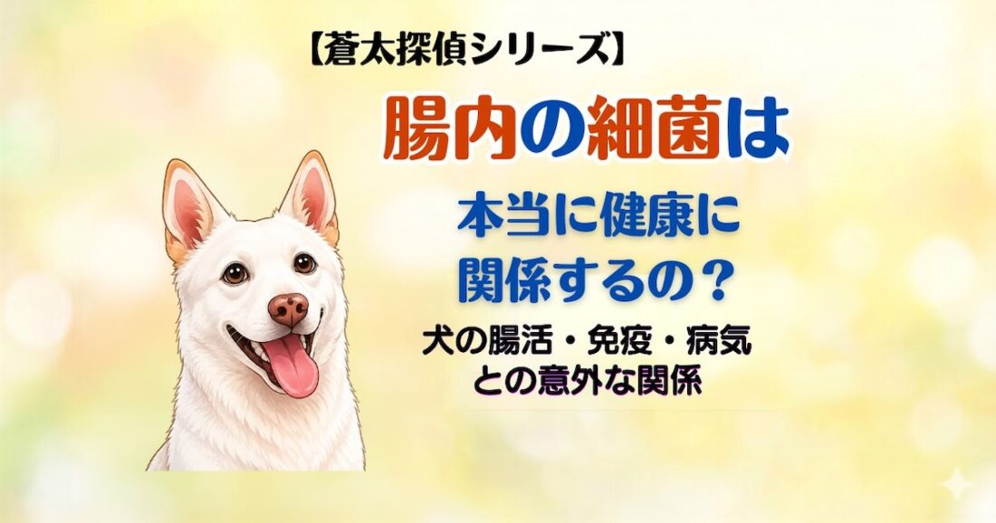 【蒼太探偵シリーズ】腸内細菌は本当に健康に関係するの？｜犬の腸活・免疫・病気との意外な関係｜佐倉市の動物病院なら若山動物病院