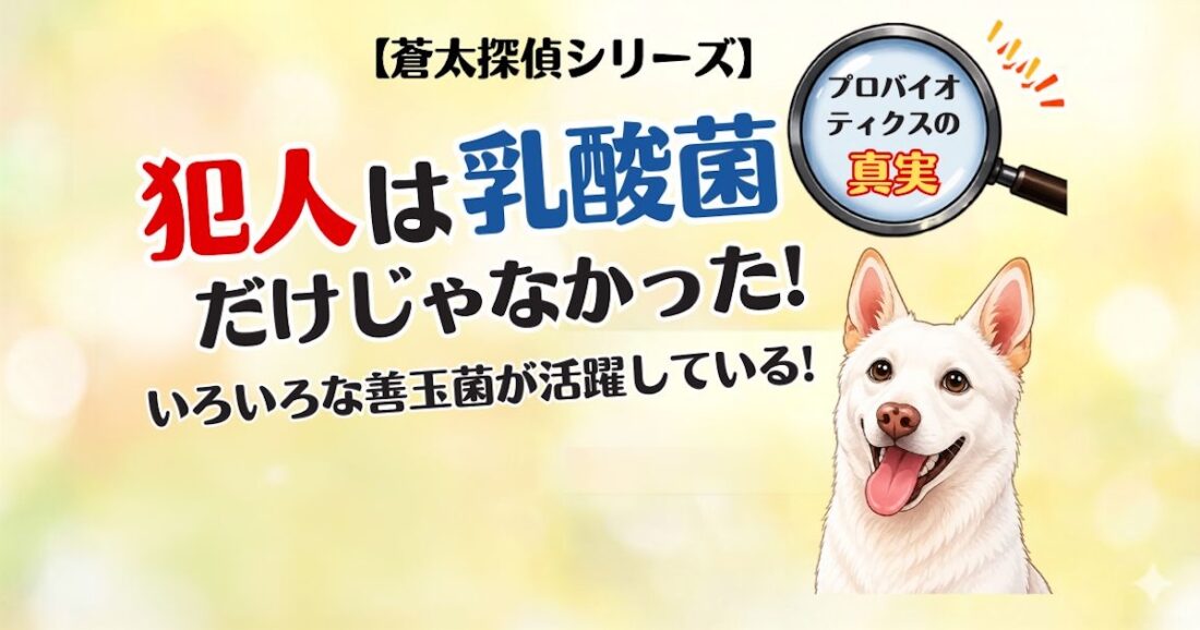 【蒼太探偵シリーズ】犯人は乳酸菌だけじゃなかった！犬のプロバイオティクスとは？｜佐倉市の動物病院なら若山動物病院