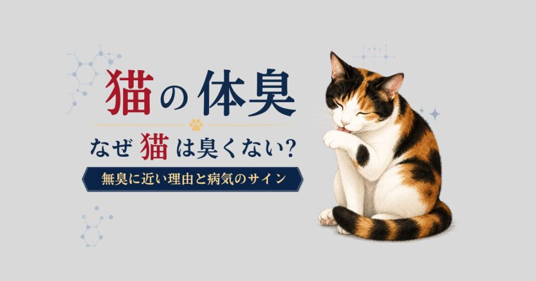 猫の体臭｜なぜ猫は臭くない？無臭に近い理由と病気のサインを解説するアイキャッチ