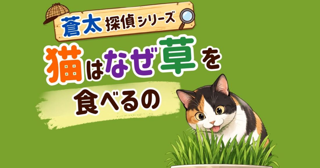 【蒼太探偵シリーズ】消える猫草のナゾ｜猫はなぜ草を食べるの？｜佐倉市の動物病院なら若山動物病院