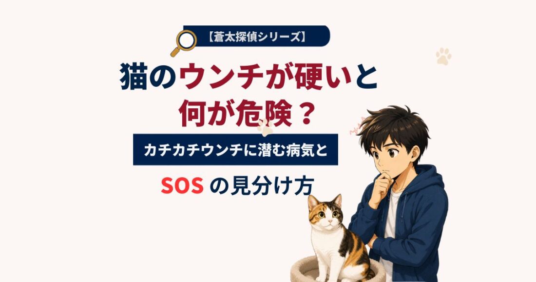 【蒼太探偵シリーズ】猫のウンチが硬いと何が危険？カチカチウンチに潜む病気とSOSの見分け方｜佐倉市の動物病院なら若山動物病院