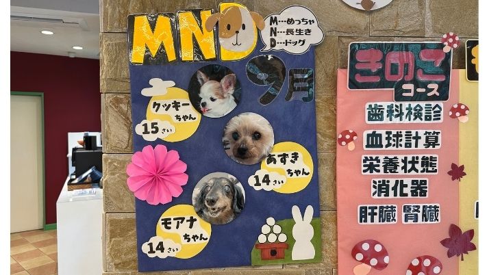MNDC｜佐倉市の動物病院なら若山動物病院
