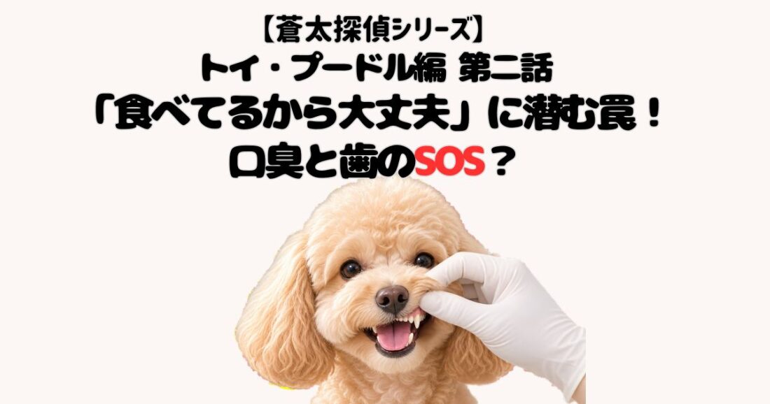 【蒼太探偵シリーズ】トイ・プードル編｜第四話 「食べてるから大丈夫」に潜む罠！口臭と歯のSOS｜佐倉市の動物病院なら若山動物病院
